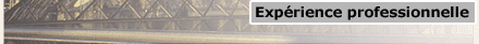 Professional experience