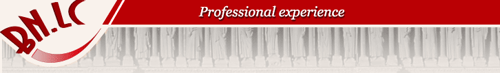 Professional experience