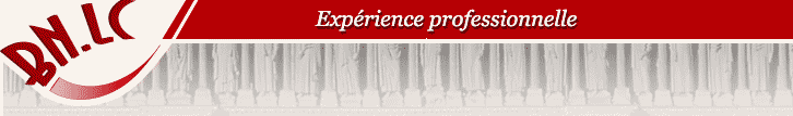 Expérience professionnelle