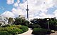 Toronto - image 4